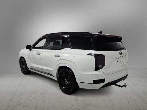 Hyper White 2022 Hyundai PALISADE Calligraphy