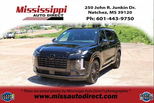 Abyss Black Pearl 2025 Hyundai PALISADE Calligraphy Night Edition