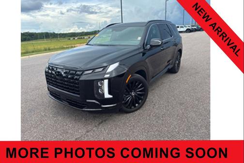 Abyss Black Pearl 2025 Hyundai PALISADE Calligraphy Night Edition