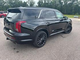 Abyss Black Pearl 2025 Hyundai PALISADE Calligraphy Night Edition