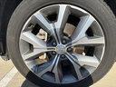 Steel Graphite 2022 Hyundai PALISADE SEL