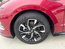 Ultimate red 2025 Hyundai SONATA SEL