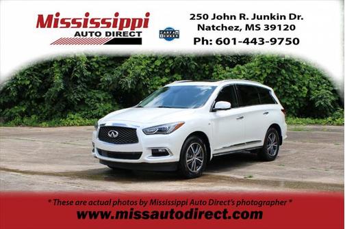 2019 INFINITI QX60 Luxe