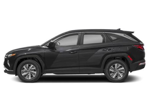 Amazon Gray 2024 Hyundai TUCSON Hybrid Blue