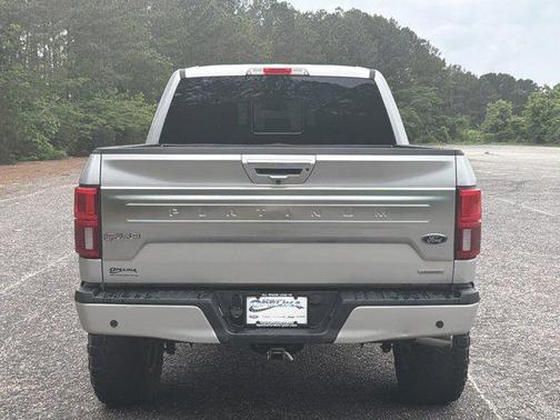 Ingot Silver 2019 Ford F-150 Platinum