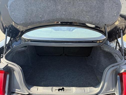 Shadow Black 2019 Ford Mustang GT Premium