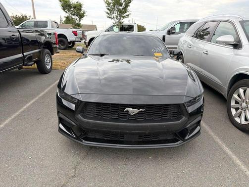 Shadow Black 2025 Ford Mustang EcoBoost