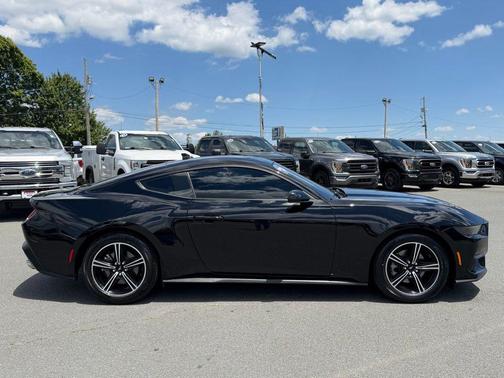 Shadow Black 2025 Ford Mustang EcoBoost