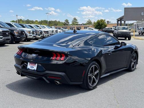 Shadow Black 2025 Ford Mustang EcoBoost