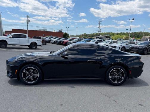 Shadow Black 2025 Ford Mustang EcoBoost