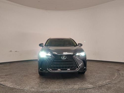 2024 Lexus NX 250 Premium