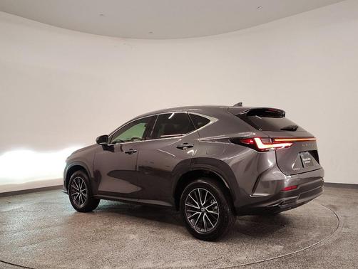 2024 Lexus NX 250 Premium