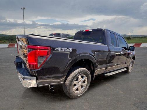 Agate Black Metallic 2025 Ford F-150 XLT