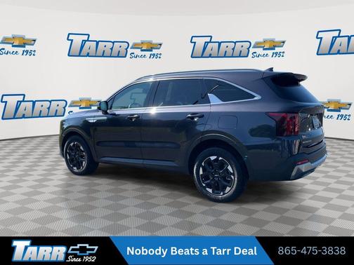 Panthera Metal 2025 Kia Sorento S