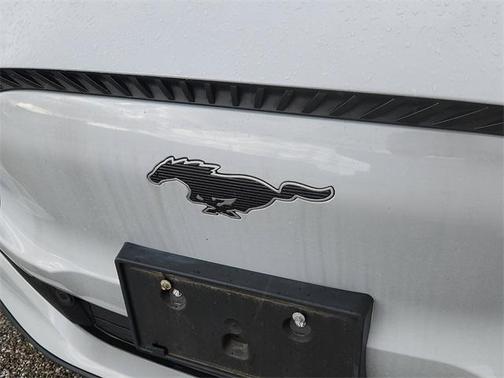 2021 Ford Mustang Mach-E Select