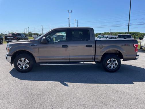 Stone Gray Metallic 2019 Ford F-150 XLT