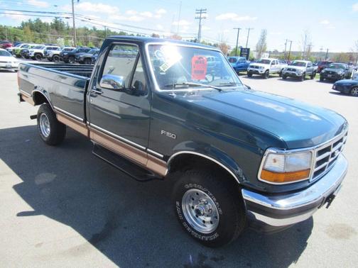 Blue 1995 Ford F-150 XL