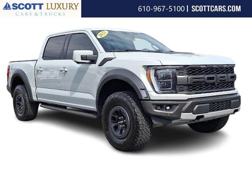 Avalanche Gray 2023 Ford F-150 Raptor Truck