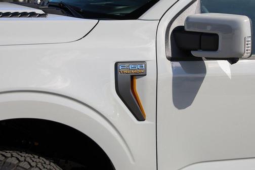 Avalanche Gray 2026 Ford F-150 Tremor