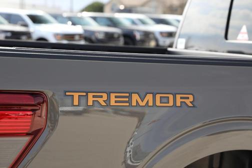 Gray 2026 Ford F-150 Tremor