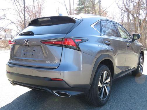Gray Pearl 2021 Lexus NX 300 Base