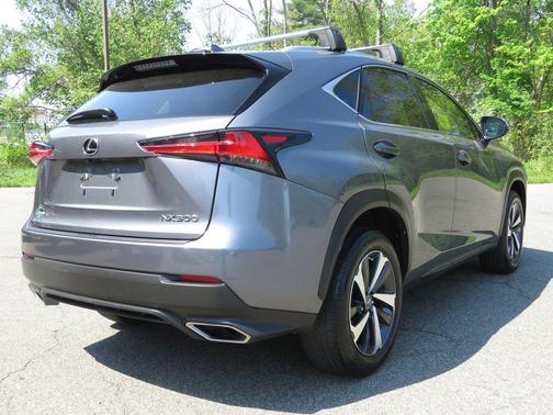 Gray Pearl 2021 Lexus NX 300 Base