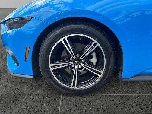 Grabber Blue 2025 Ford Mustang EcoBoost Premium