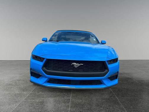 Grabber Blue 2025 Ford Mustang EcoBoost Premium