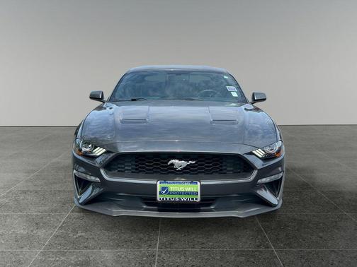 Magnetic Metallic 2020 Ford Mustang EcoBoost