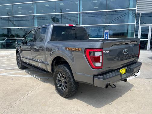 Gray Metallic 2023 Ford F-150 Tremor
