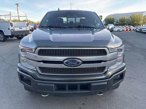 Magnetic Metallic 2020 Ford F-150 Platinum