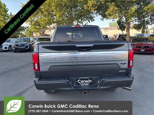 Magnetic Metallic 2020 Ford F-150 Platinum