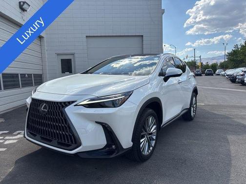 2024 Lexus NX 350 Luxury