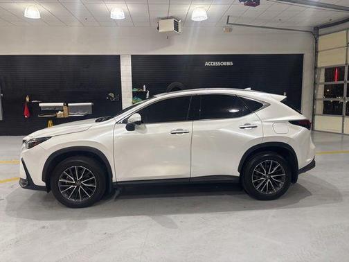 White Pearl 2022 Lexus NX 350h AWD