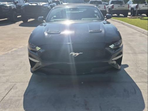 Shadow Black 2023 Ford Mustang EcoBoost Premium