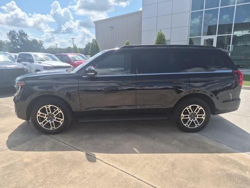 Agate Black Metallic 2025 Ford Expedition Active