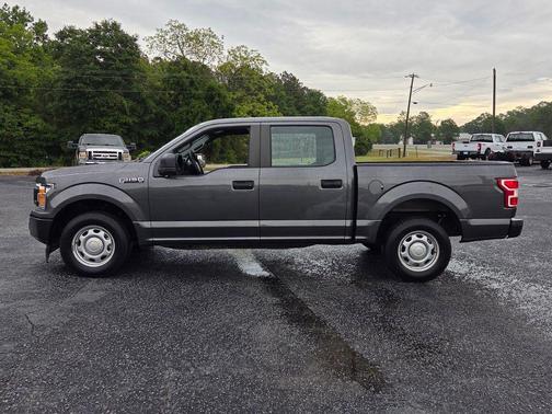 Magnetic 2019 Ford F-150 XL