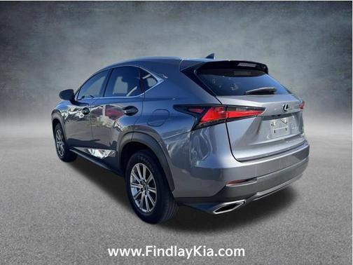 Nebula Gray Pearl 2020 Lexus NX 300 Base