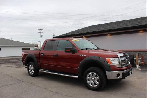 Sunset Metallic 2014 Ford F-150 XLT