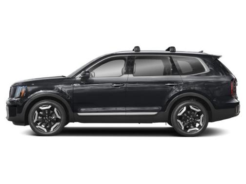 Panthera Metal 2025 Kia Telluride EX