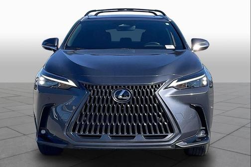 Cloudburst Gray 2025 Lexus NX 350 Premium