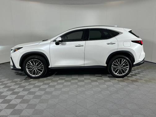 2022 Lexus NX 350 Luxury