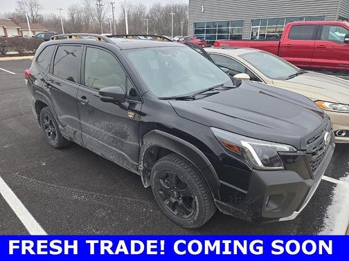 2022 Subaru Forester Wilderness