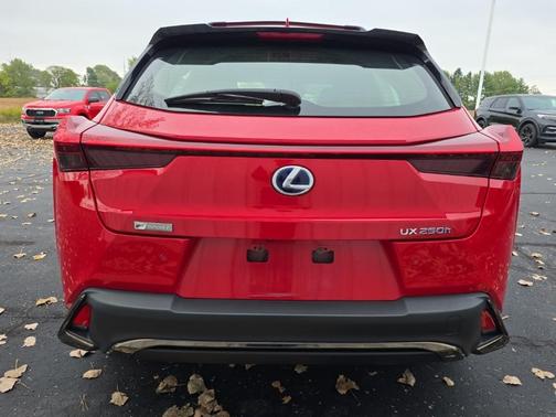 2021 Lexus UX 250h F Sport