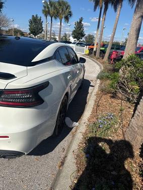 2021 Nissan Maxima 3.5 SR