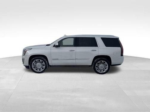 2019 Cadillac Escalade Platinum