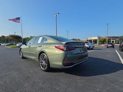 Sunlit Green 2022 Lexus ES 300h Base