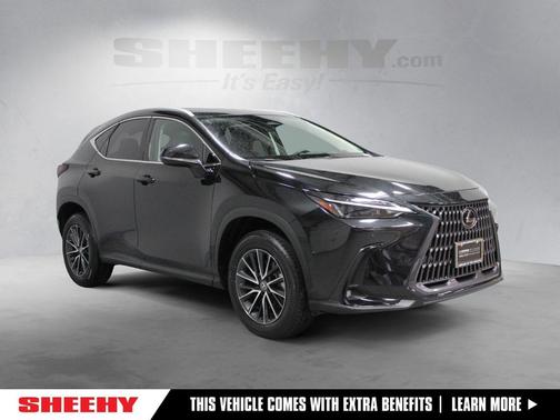 2024 Lexus NX 350 Premium