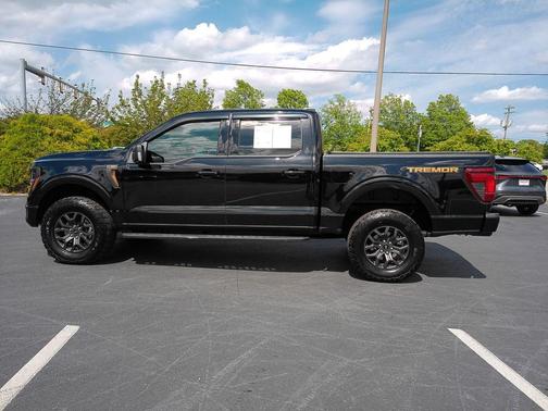 Agate Black Metallic 2025 Ford F-150 Tremor