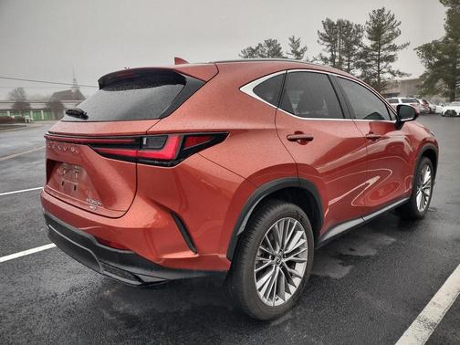 2022 Lexus NX 350h Luxury